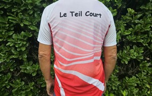 Maillot de Running Homme (40 euros)